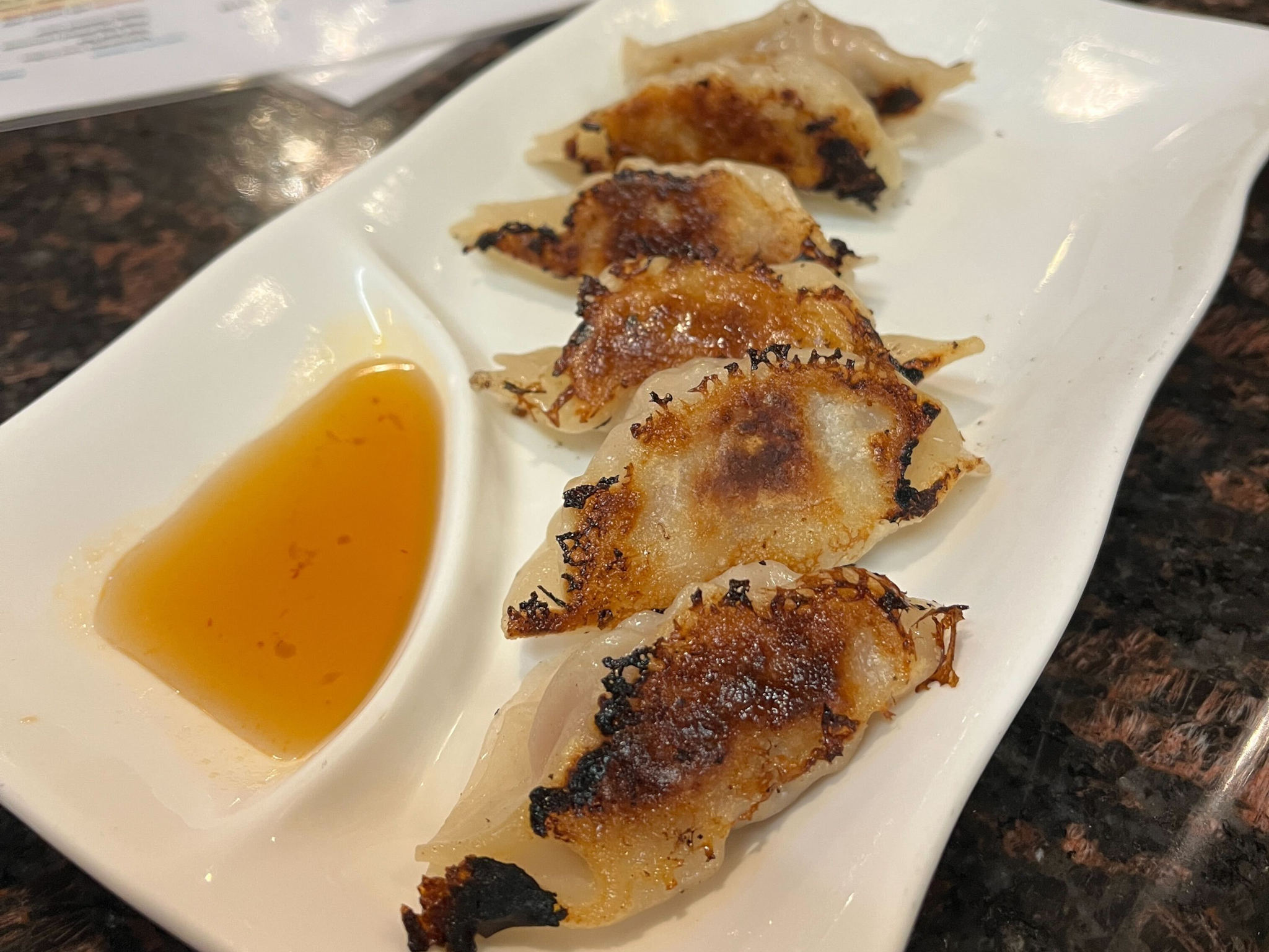 Pan-fried gyoza with a thin, crispy bottom, a soft, chewy mochi-like wrapper, and a juicy filling
