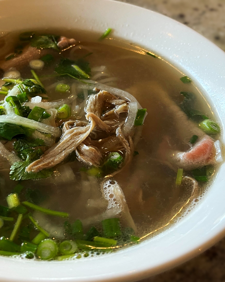 Rice noodle soup with beef bone broth topped with sliced brisket and eye of brown steak in it. Green onion, white onion, and cilantro add fresh green color.